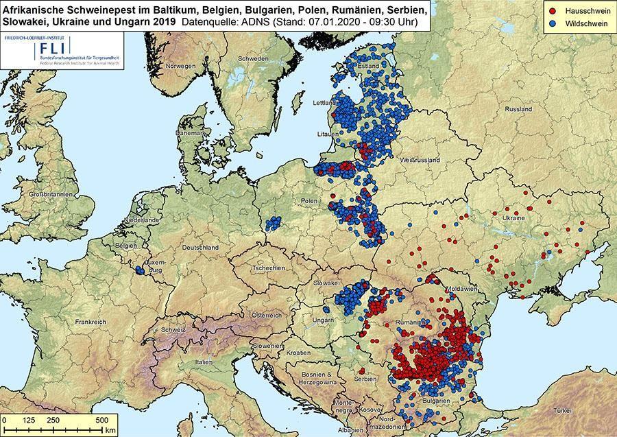 Epidemioloogiline olukord Detsember 2019 10 liikmesriiki tabandunud Tšehhi ametlikult SAKi- vaba Uued riigid: Slovakia Levik metssigade vahendusel Ungarist Serbia (non-eu) Levik kauge vahemaa taha