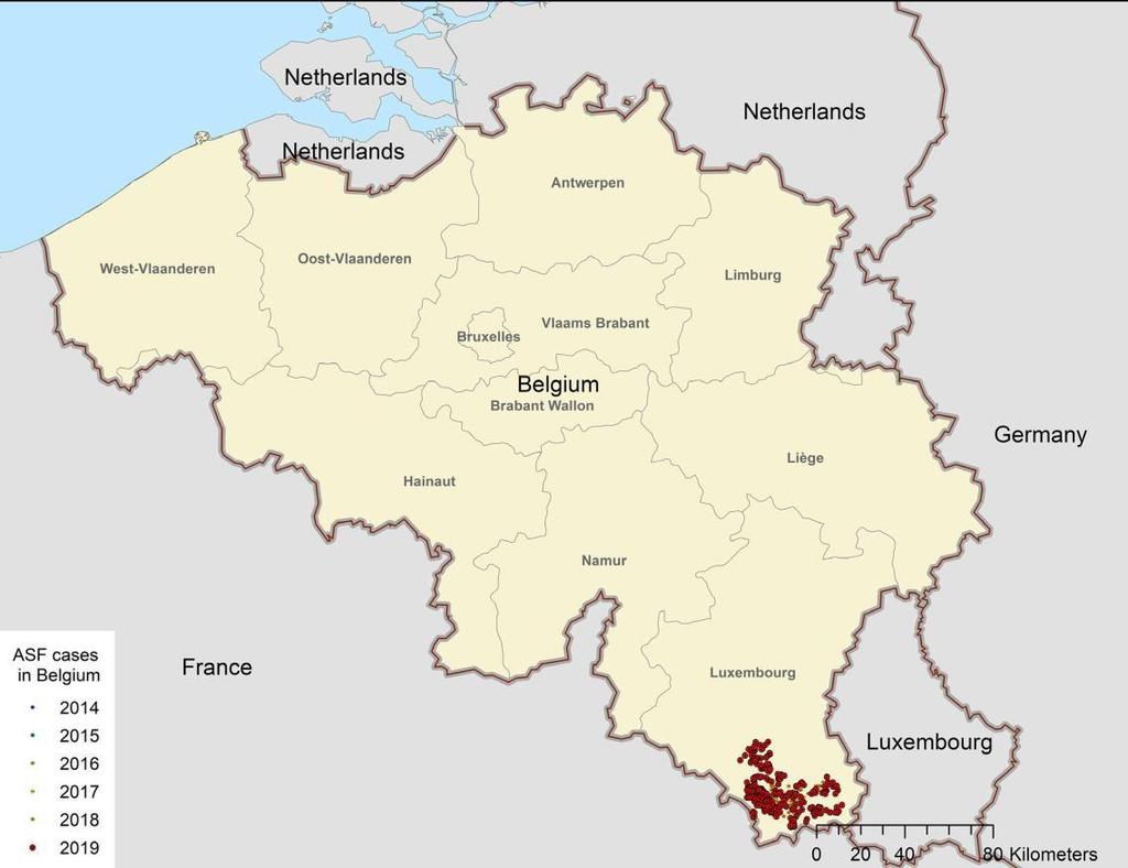 Epidemioloogiline olukord EL-is Belgia Sept 2018 sept/okt 2019 Nakatunud ala ~600 km 2 Edukas taudi