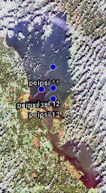 the lake, but point Peipsi 12 and Peipsi 13 are located near the coastline. Point 38 in located in the mouth of river Suur-Emajõgi. Table 7.