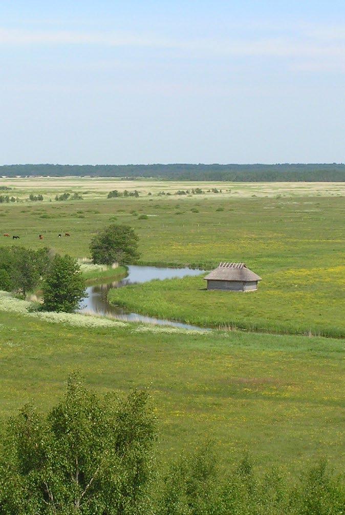 Rahvuspargid on erilise rahvusliku väärtusega alad looduse ja kultuuripärandi kaitsmiseks, uurimiseks ja tutvustamiseks. Eesti looduses on palju väärtuslikku maismaast on kaitse all 18% ja vetest 30%.