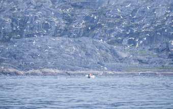 Royal Greenland A/S - 2014/15 27 Isumannaallisaaneq, sullivimmi tarnikkut timikkullu pissutsit Royal Greenland sulisuminik qitiutitsilluni aamma suliamik nuannarinnilluni atukkatigullugu