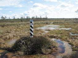 4. Sookuninga, Nigula ja Ziemelu Purvi piiriülese Ramsari alana Wetlands International'i täielik aruanne (Taylor, 2006) sisaldab ülevaate piiriülestest märgaladest (Lisa 20).