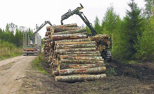 Metsatee säästmiseks ladustatakse puit kraavile või tee äärde rajatud