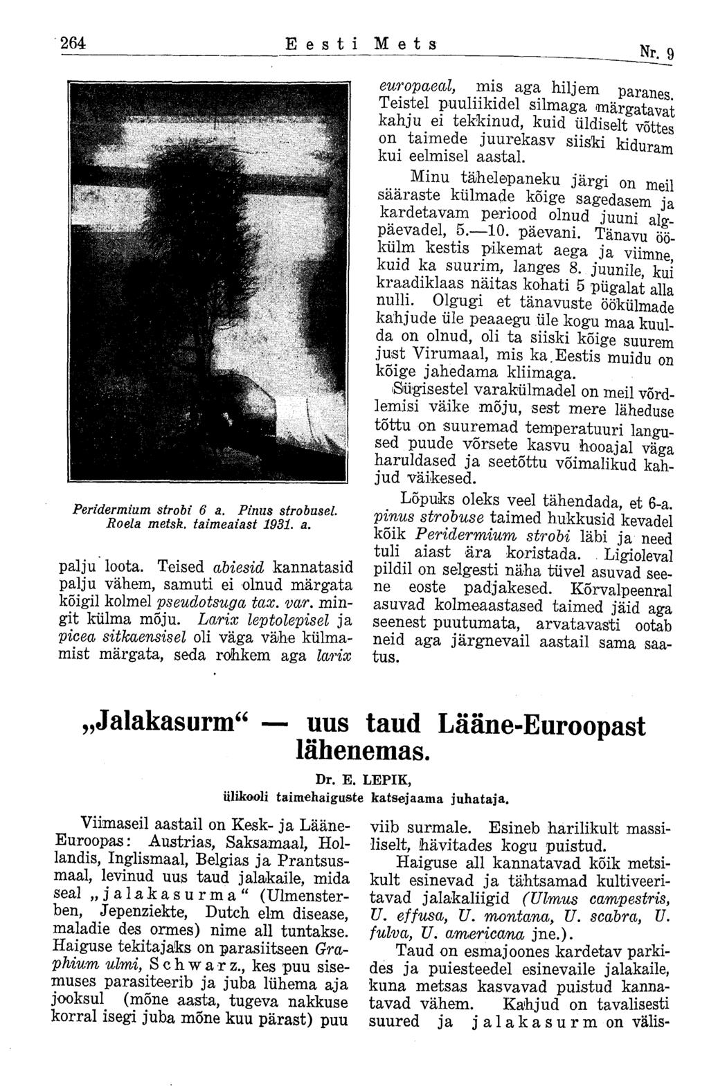 264 Eesti Mets Nr. 9 Peridermium strobi 6 a. Pinus strobusel Roela metsk. taimeaiast 1931. a. palju loota. Teised abiesid kannatasid palju vähem, samuti ei olnud märgata kõigil kolmel pseudotsuga tax.