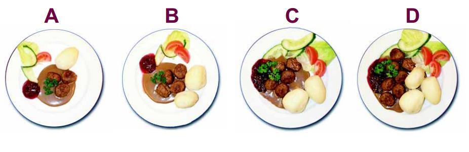 10. Kui võrrelda Sinu erinevate päevade hommikusööke, kui erinevad on need SUURUSE poolest?