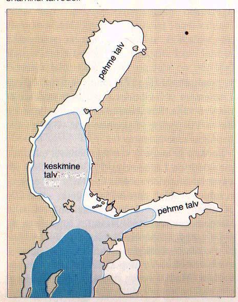 näitab, et Läänemere jääkatte maksimaalse pindala märkimisväärne kõikumine aastate lõikes on tihedas võrdelises sõltuvuses Tallinna külmasummadest.