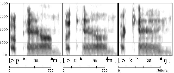 Joonis 2. Inglise keele silpide a pan, a tan, a kang spektrogrammid (Ladefoged 2006: 193).