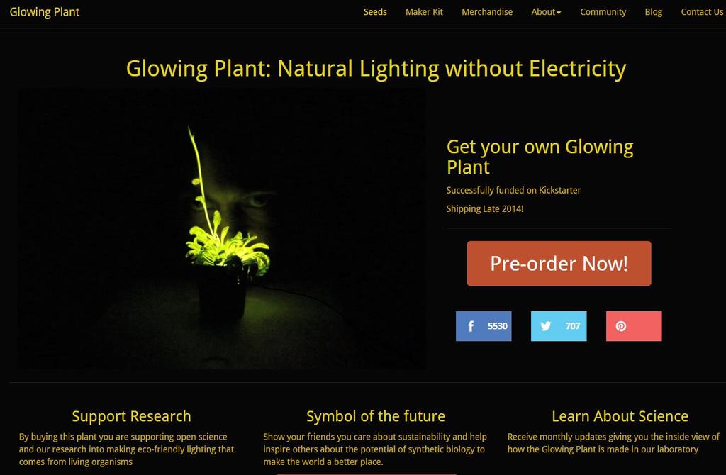 www.glowingplant.