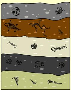 fossiilid (vanimad 2 miljardit aastat tagasi mikroorganismid) väljasurnud organismide elutegevuse jäljed taimede seemned ja