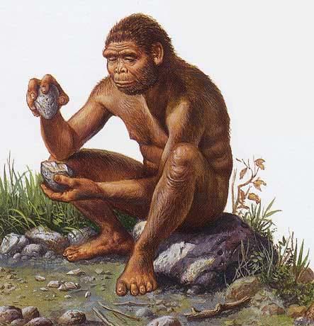 Inimese (Homo) ilmumine Elasid u 2 miljonit aastat tagasi Aafrikas.