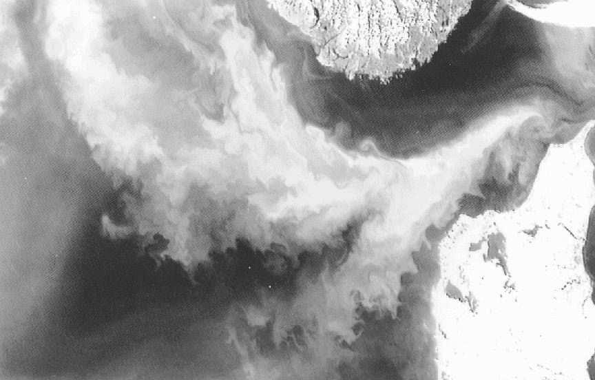 130 PEATÜKK 15. HAPTOFÜÜDID Joonis 15.15: Satelliidifoto: Emeliania huxleyi õitseng Skagerrakis. läbimõõdus vetikas.