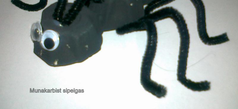 Kui sipelga keha on kuivanud, kinnita ühte otsa sipelga silmad. Jalad ja tundlad on lõigatud karvatraadist.