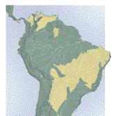 Lõuna-Ameerika troopilised rohtlad Lõuna-Ameerika troopilised rohtlad erinevad Aafrika omadest oluliselt. Aafrika savannid on tohutud rohulagendikud, kus uitavad hiiglaslikud rohusööjate karjad.