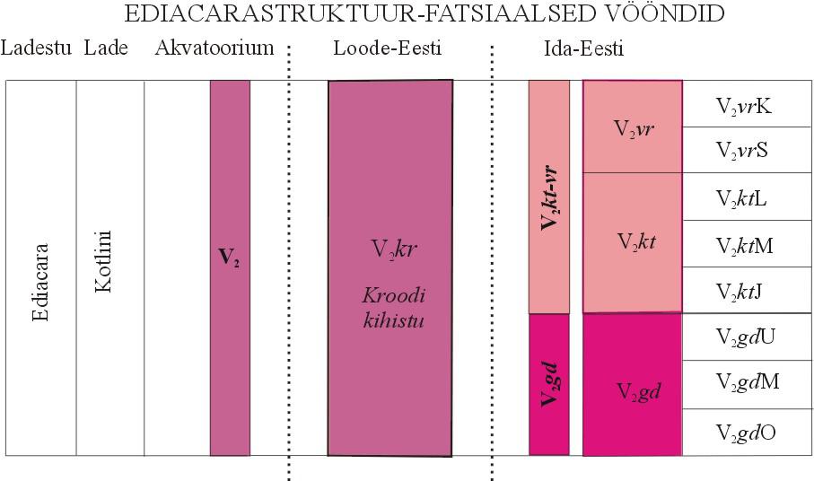 Ediacara ladestu kivimite litostratigraafiline tulp, kus värvidega on näidatud kaardistatavad kivimkehad ja nende moodustavad litostratigraafilised