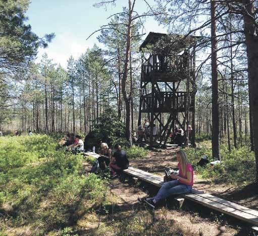 Foto: Kristine Sullakatko Valgejärv Valgejärveni jõudmiseks tuleb läbida esimesed 2 kilomeetrit tähistatud metsateed. Valgejärv on Eestis unikaalne.