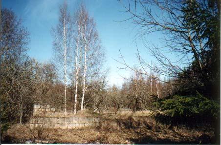 Ennu-Matsi ja Kasemetsa asustati väljaspoole talu. Kasemetsa varemed. Foto Liina Ligi, 2003. Erakogu. KASEMETSA (2,9 hektarit) koht rajati 1900.