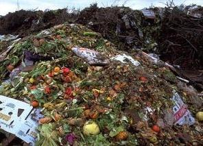 Umbes 50% toidust maailmas läheb raisku (UNEP 2009) http://www.