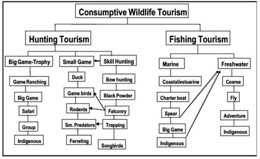 sealhulgas on seal oma osa kurnaval eluslooduse kasutamisel ja inimeste kokkupuutel loomadega (joonis 1). Eluslooduseturism jaotub kurnavaks ja mittekurnavaks turismiks (Lovelock 2008).