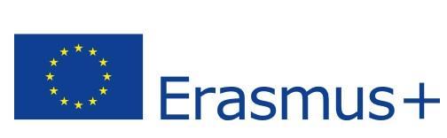 Erasmus+ õpirände projektide avaseminar Projekti elukaar