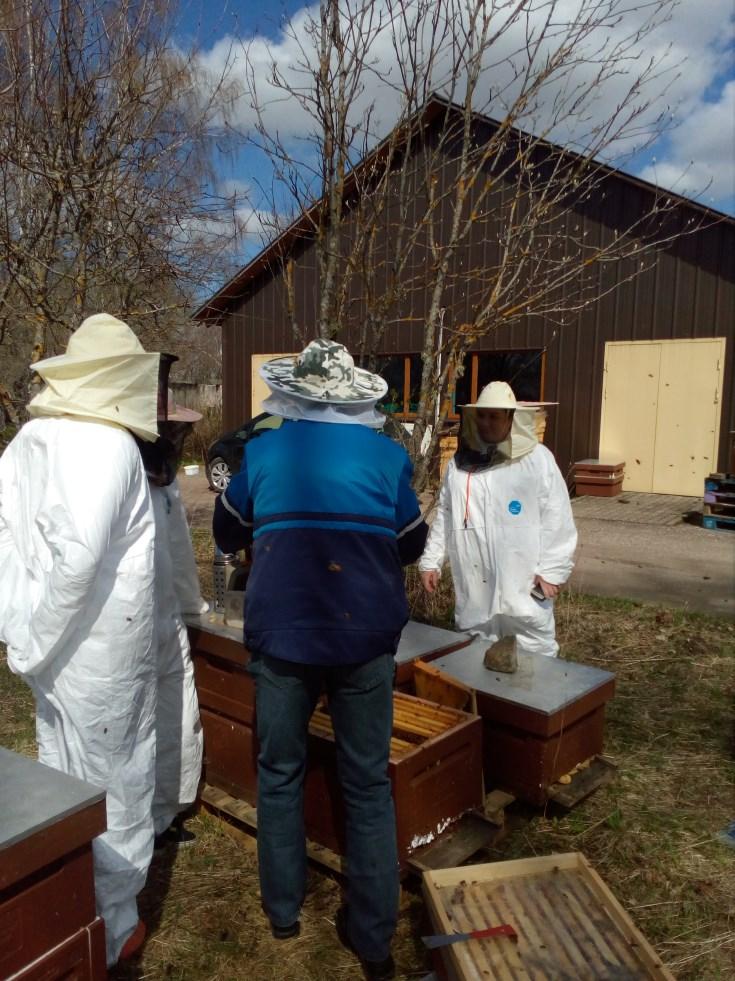 Mesilat külastavate isikute piiramine Ole teadlik taru saastumise võimalusest soovimatute külastajate poolt.